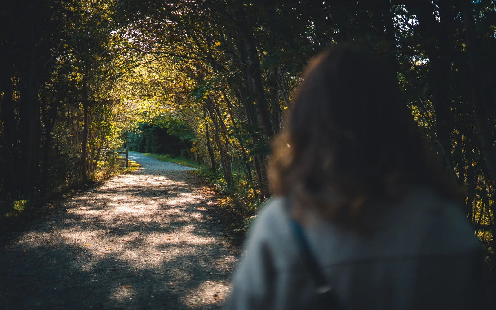 Une personne marche sur un sentier arboré